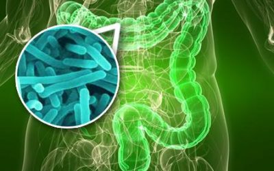 Alimentación en la enfermedad inflamatoria intestinal